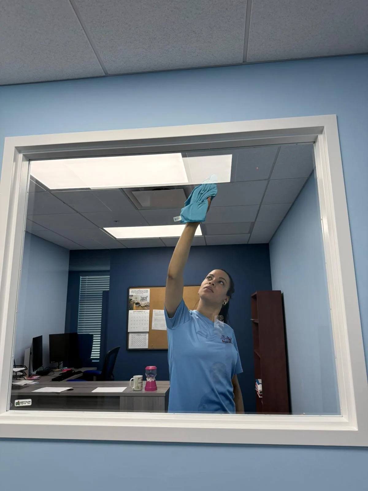 Professional office cleaning — Manatee Ladies Cleaning